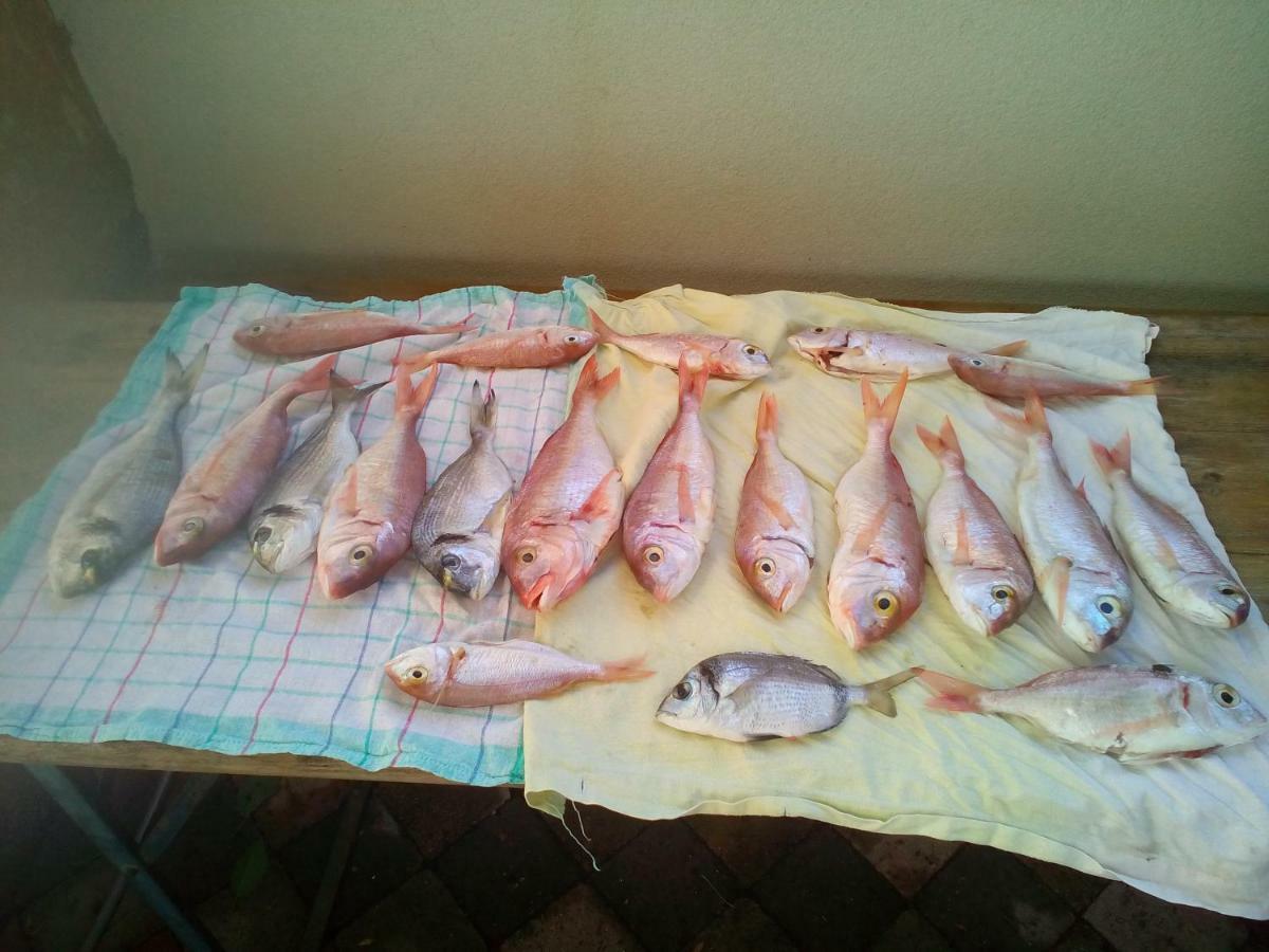 Apartmani Ria2 Pag Pag Town Luaran gambar